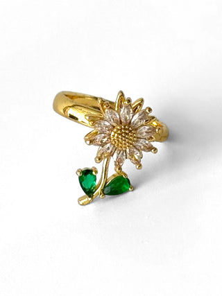 Anillo Giratorio Anti-estrés #945