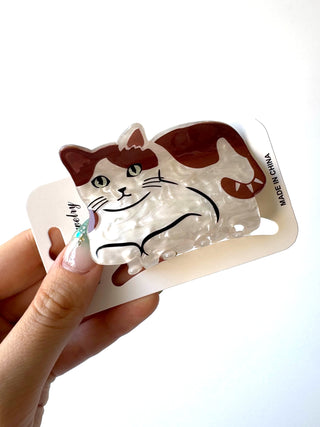 Gatito 6