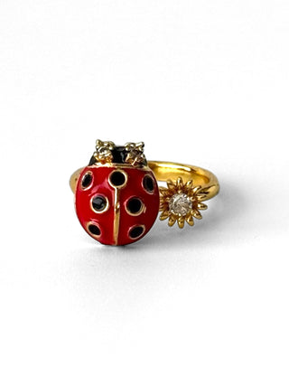 Anillo Giratorio Anti-estrés #930