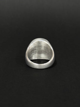 Anillo de hombre en acero vikingo #791