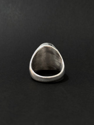 Anillo de hombre en acero vikingo #788