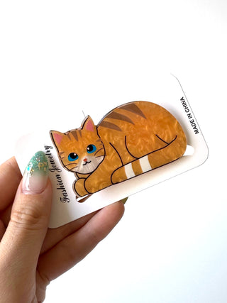 Gatito naranjo