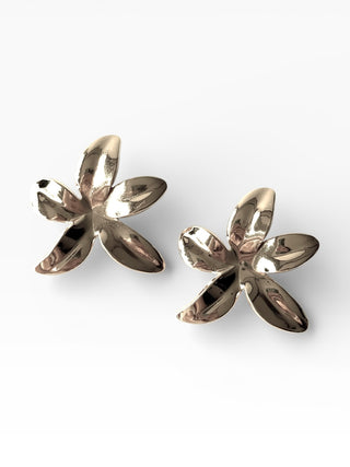 Aros de acero modelo #9217 plateado