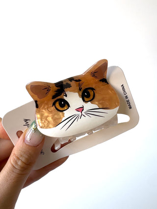 Gatito 12