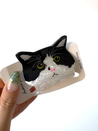 Gatito 11