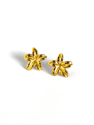 Aros de acero modelo #905 dorado