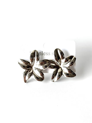 Aros de acero modelo #907 plateado